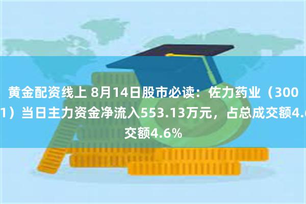 黄金配资线上 8月14日股市必读：佐力药业（300181）当日主力资金净流入553.13万元，占总成交额4.6%