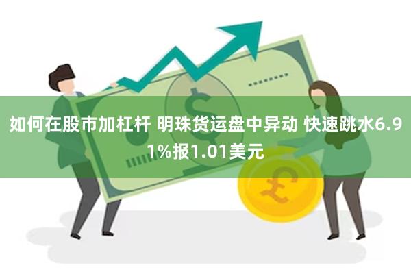 如何在股市加杠杆 明珠货运盘中异动 快速跳水6.91%报1.01美元