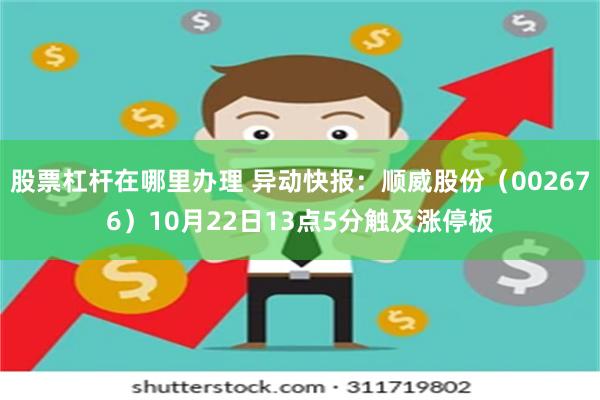 股票杠杆在哪里办理 异动快报：顺威股份（002676）10月22日13点5分触及涨停板