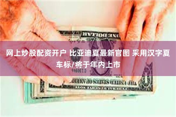 网上炒股配资开户 比亚迪夏最新官图 采用汉字夏车标/将于年内上市