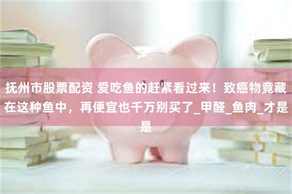 抚州市股票配资 爱吃鱼的赶紧看过来！致癌物竟藏在这种鱼中，再便宜也千万别买了_甲醛_鱼肉_才是