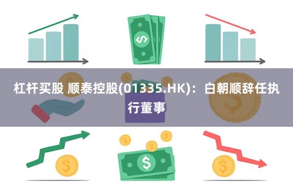 杠杆买股 顺泰控股(01335.HK)：白朝顺辞任执行董事