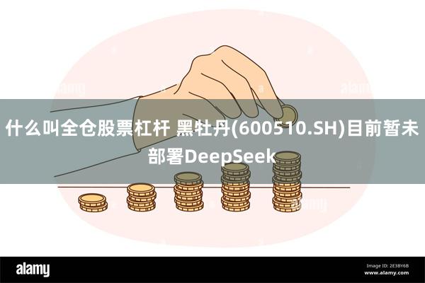 什么叫全仓股票杠杆 黑牡丹(600510.SH)目前暂未部署DeepSeek