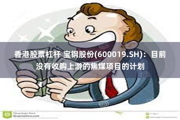香港股票杠杆 宝钢股份(600019.SH)：目前没有收购上游的焦煤项目的计划
