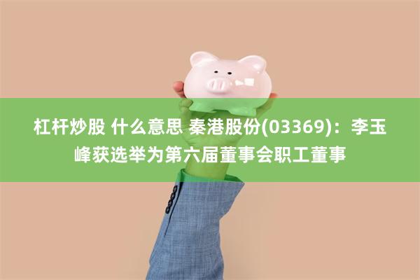 杠杆炒股 什么意思 秦港股份(03369)：李玉峰获选举为第六届董事会职工董事