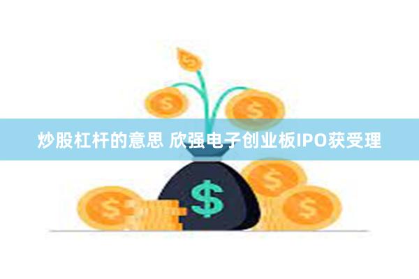 炒股杠杆的意思 欣强电子创业板IPO获受理